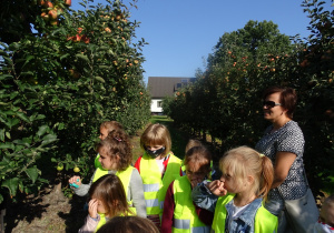 Dzieci spacerują po sadzie i oglądają drzewa owocowe